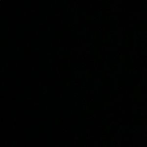 Meet your Posher, Ella